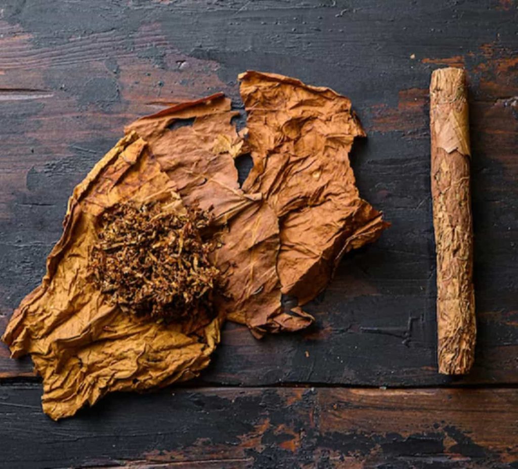 Premium cut tobacco in a wooden bowl